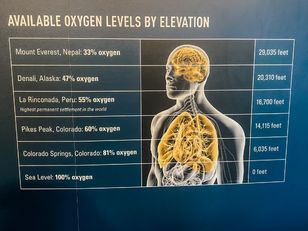 Oxygen Levels (308 x 231 px)