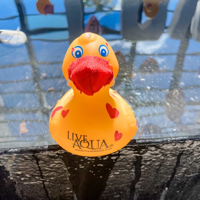 Cancun - Live Aqua duck with mask